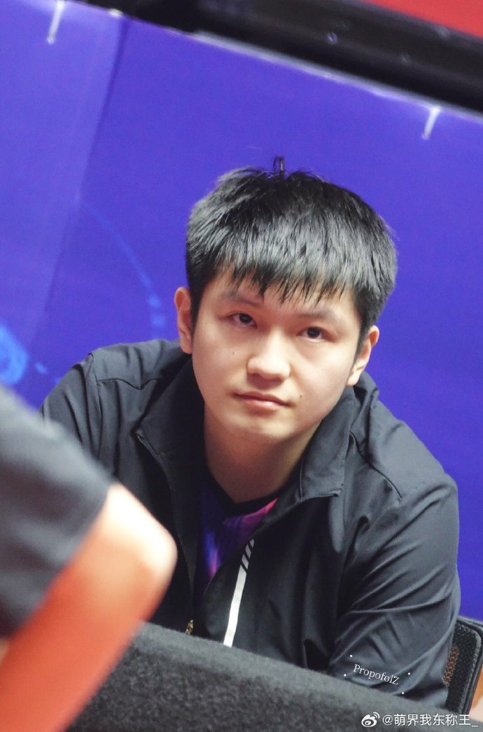 包含德国乒乓球队险胜波兰乒乓球队，樊振东完成帽子戏法的词条