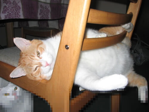 冷门在灼热的阳光下诞生，奥纳纳用一双手，扼杀了巨人的呼吸