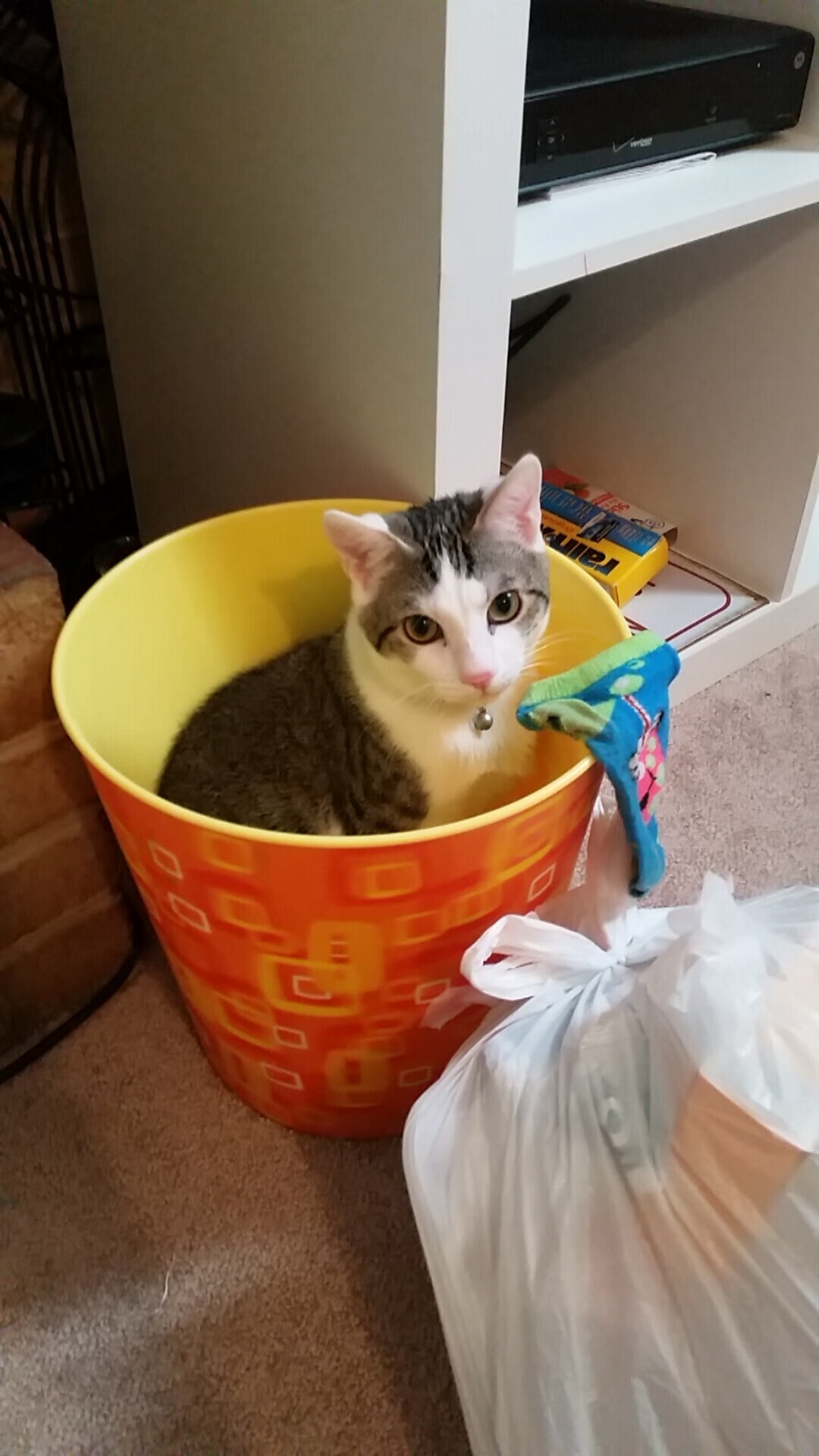 生死战湖人力克辽宁，东契奇全能数据引爆全场