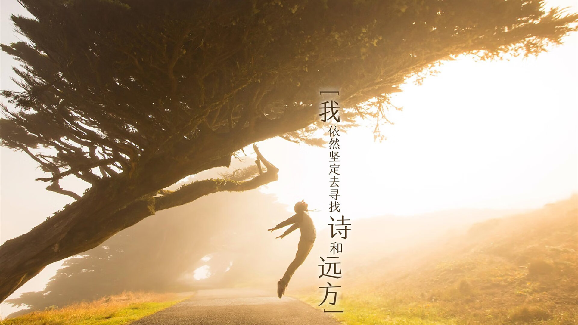 绿茵启示录，从劳塔罗的锋芒到几内亚的洪流—个人英雄与集体力量的足球辩证法