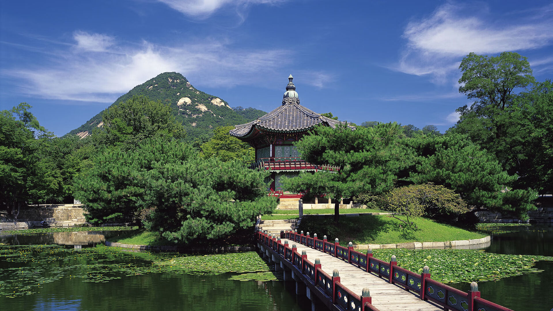 开云体育APP下载-范弗利特终场三分定乾坤，吉林队跨洋强压黄蜂展团队伟力