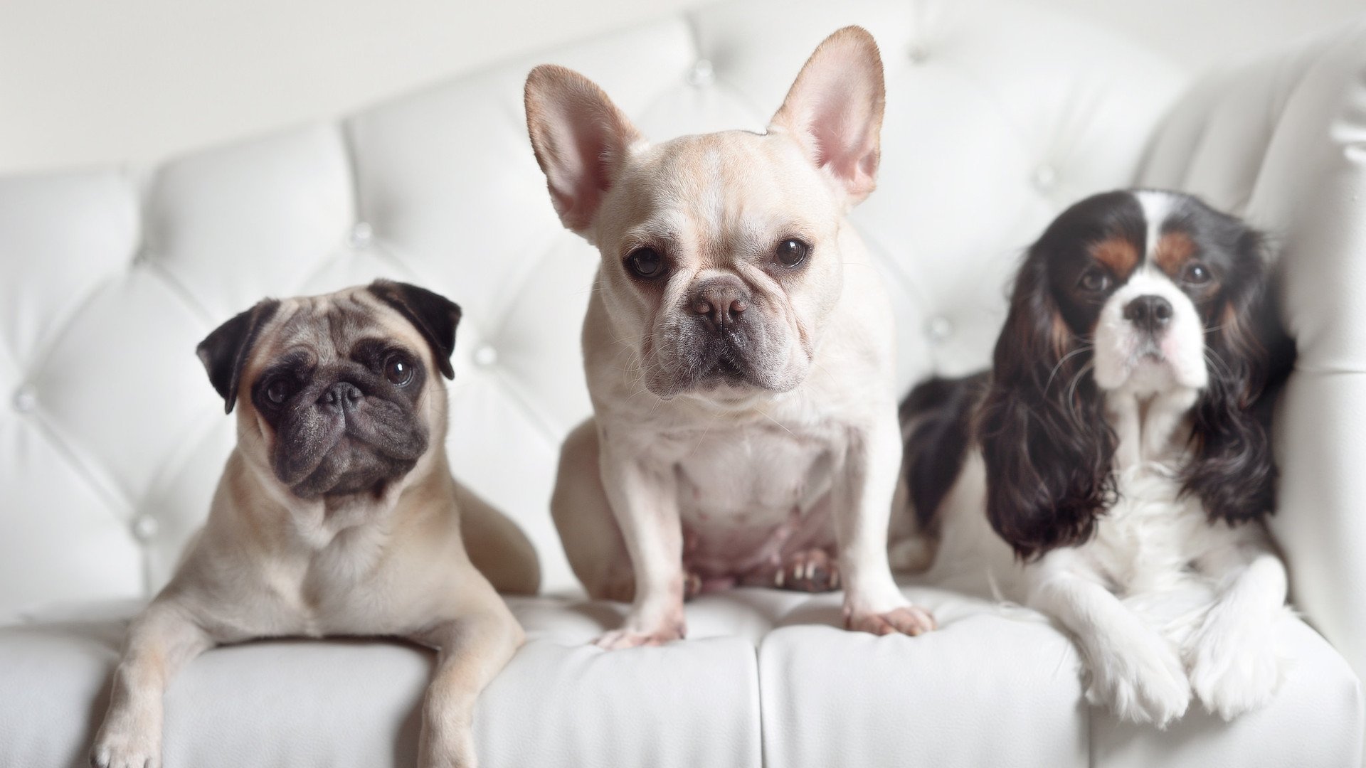 跨越时空的绝杀，当足球与篮球在凌晨三点交汇