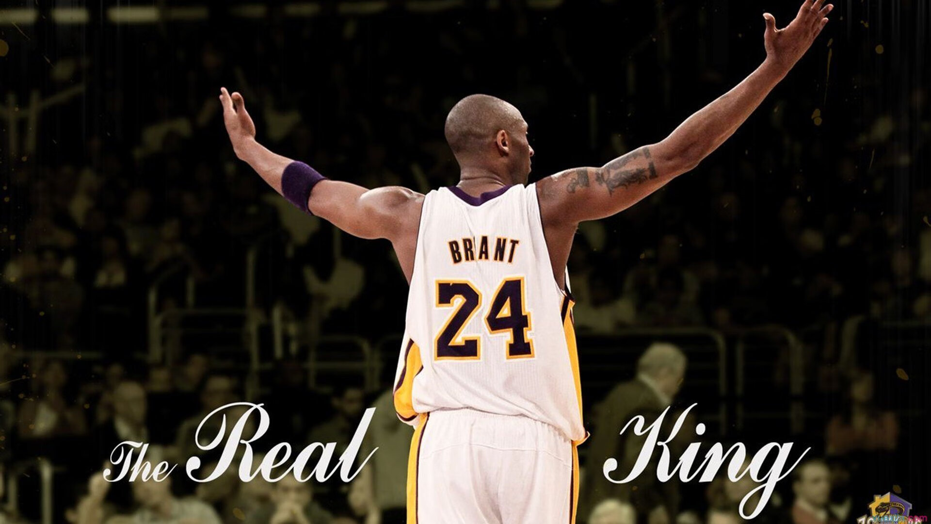 魔术失效之夜,约基奇用教科书般的全能表演让勇士魔法黯然失色