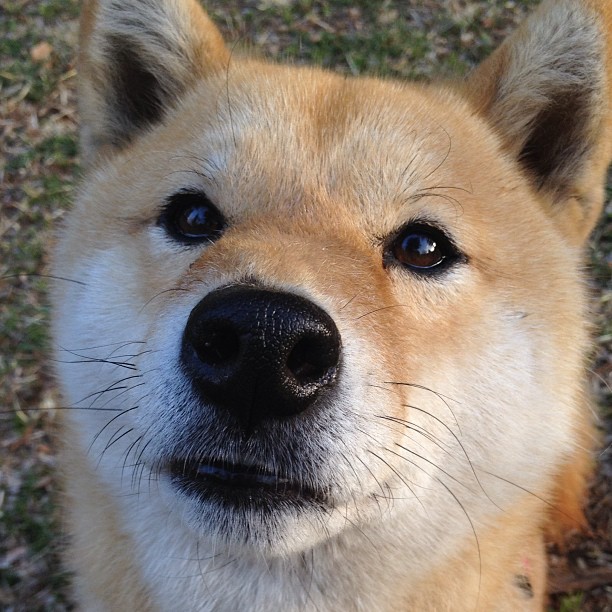 开云体育登录-冰与火的交锋，福克斯末节救赎，尼克斯险胜山西守住世界排名生命线