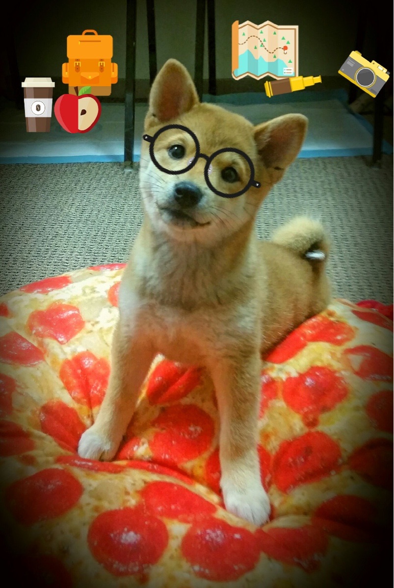 托尼献制胜一击，冰岛连珠炮得分压制佛罗伦萨