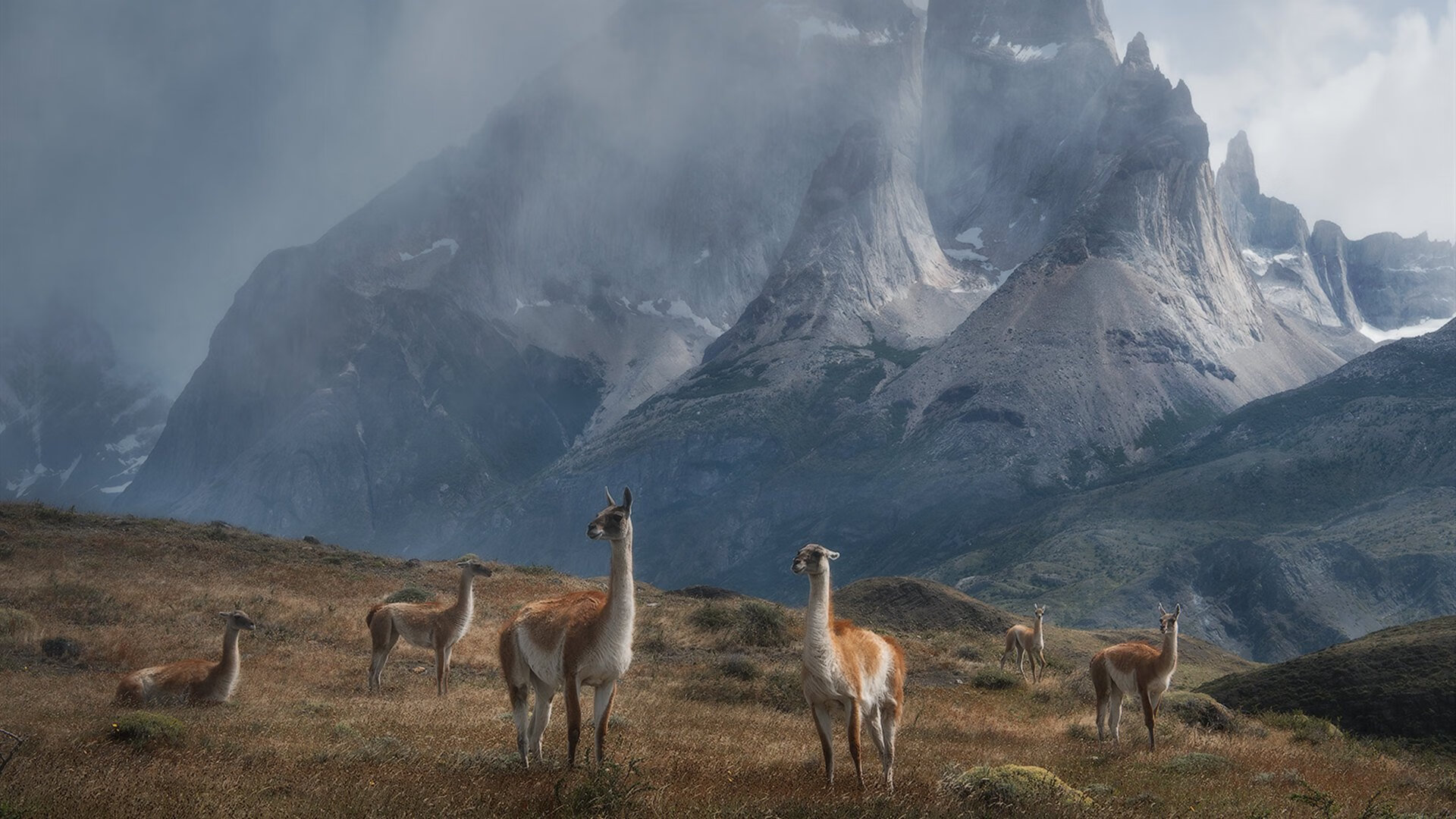 倒转的荣耀，当宝石匠迪巴拉为奥地利铸起铁血防线