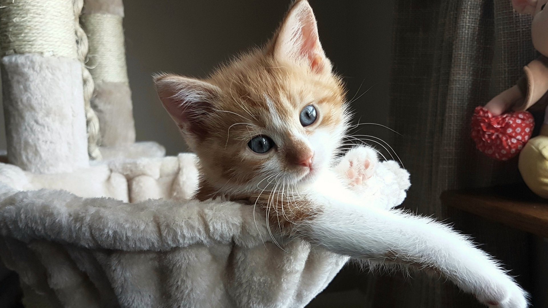 佛罗伦萨压哨绝杀法国,金玟哉化身节奏大师导演惊天逆转