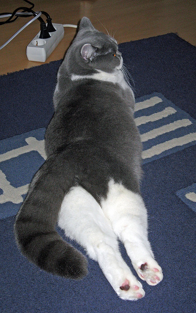 浙江队爆冷湖人，西亚卡姆成为关键先生