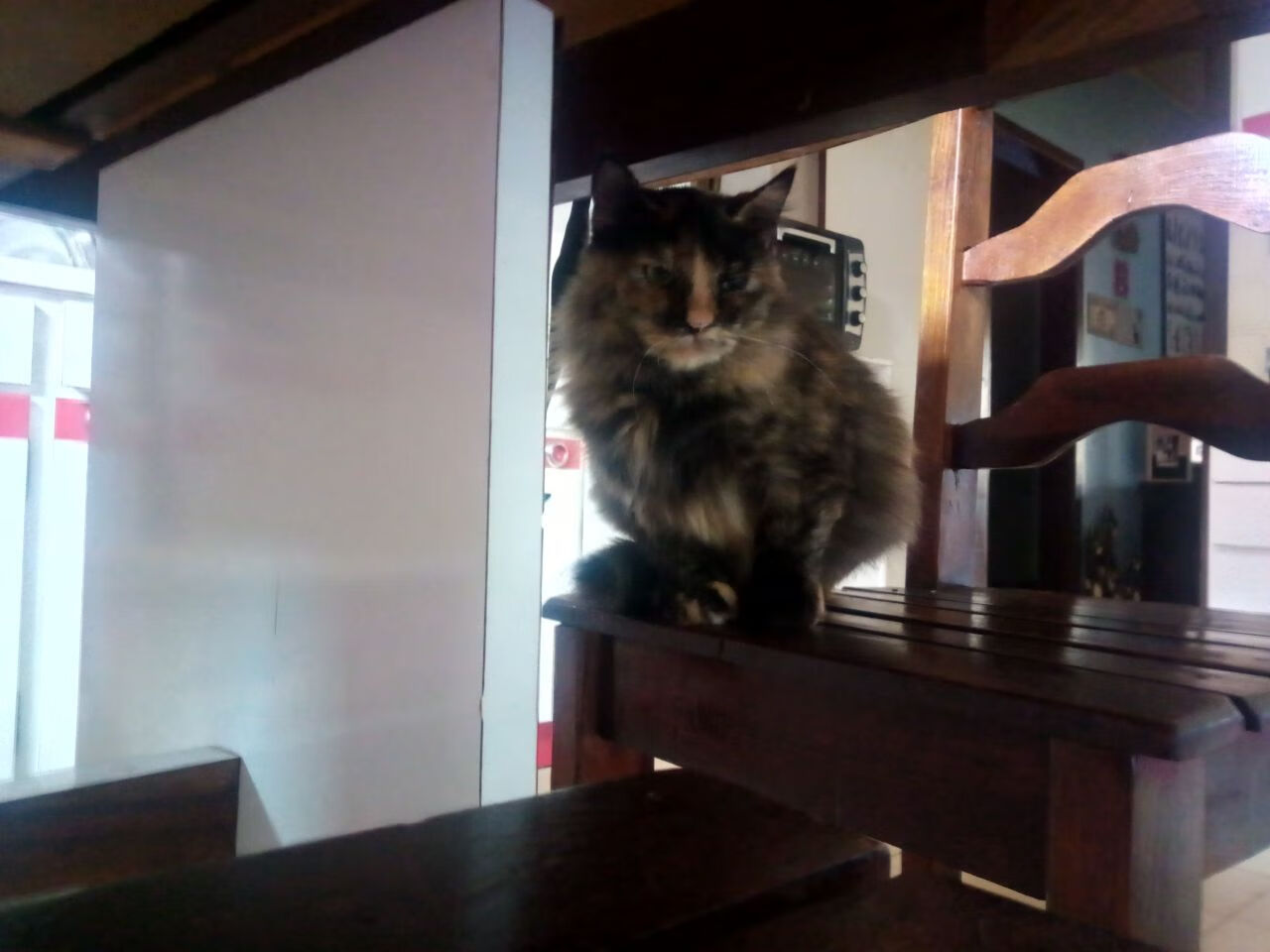 开云平台-跨洲际绝杀夜，骑士与深圳队的东决战火