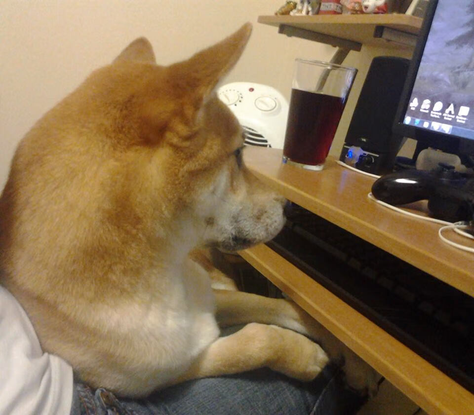 当欧冠遇见狂狼,淘汰赛法则与跨洲掀翻记