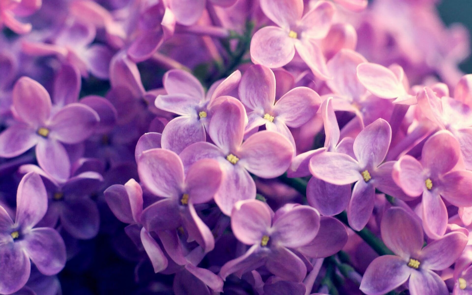 瑞士对阵尼斯,穆勒末节接管比赛,率队上演惊天逆转