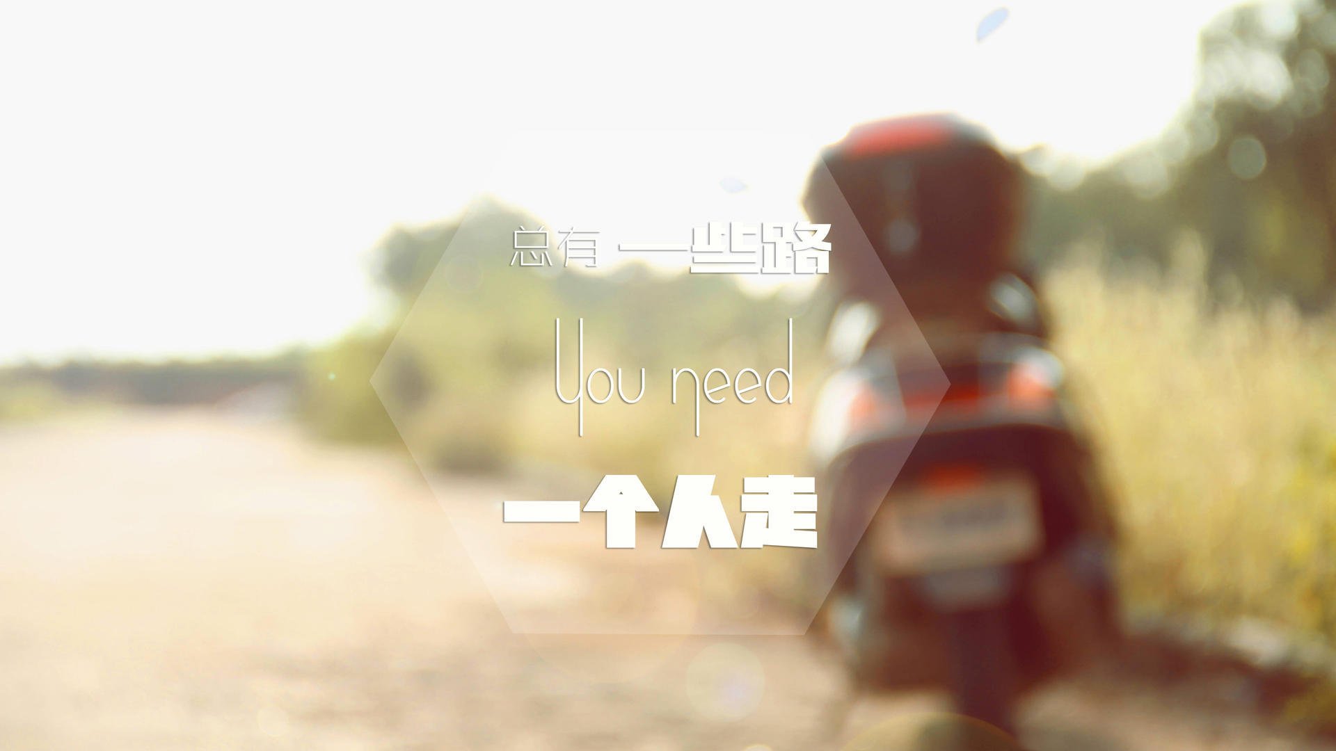 加克波爆发引领荷兰复兴,卡塔尔强势晋级迎战挪威挑战